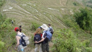 Sapa Long Trails