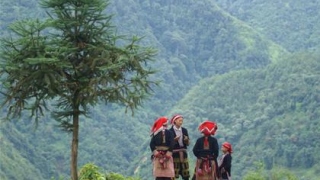 Sapa Challenge for Real Trekkers