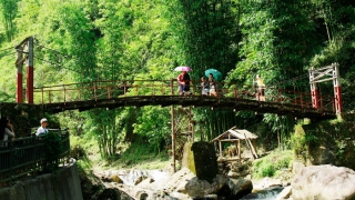 Sapa Trekking & Homestay