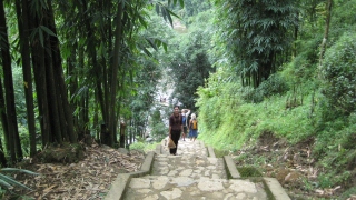 Sapa Trekking & Homestay