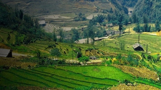 Sapa Light Trek & Hotel Stay