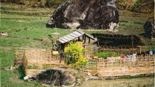 Sapa Intermediate Trek & Home Stay