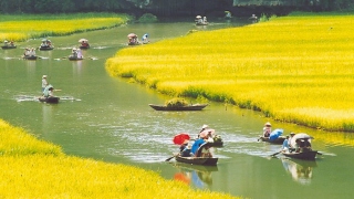 HOA LU & TAM COC BIKING & BOAT TRIP