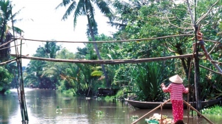 MEKONG DELTA EXTENSION