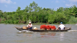 MEKONG DELTA EXTENSION