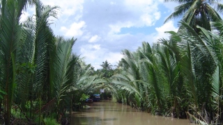 ALONG MEKONG DELTA TO CAMBODIA