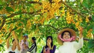 MEKONG DELTA TOUR 