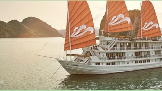 2 DAYS 1 NIGHT HALONG BAY CRUISES WITH PARADISE LUXURY CRUISES