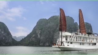 2 DAYS 1 NIGHT HALONG CRUISE ON VSPIRIT CRUISES